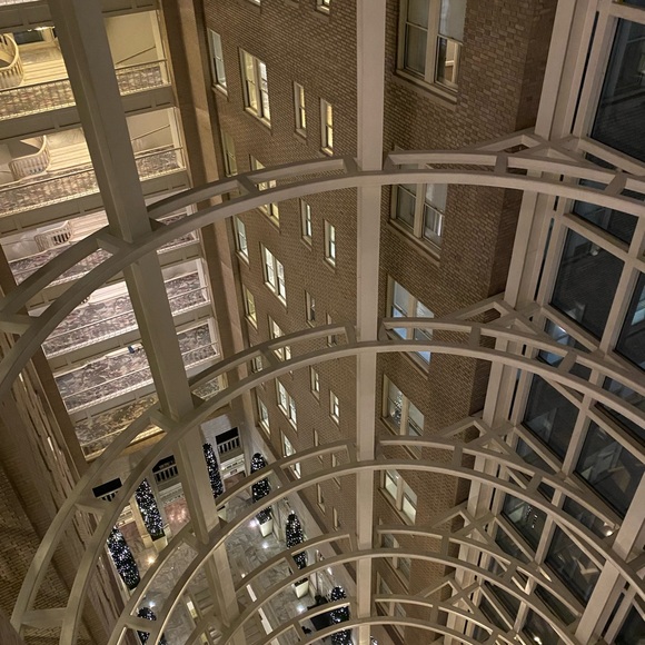 Meet your Posher, Yolanda - Picture 1 of 2